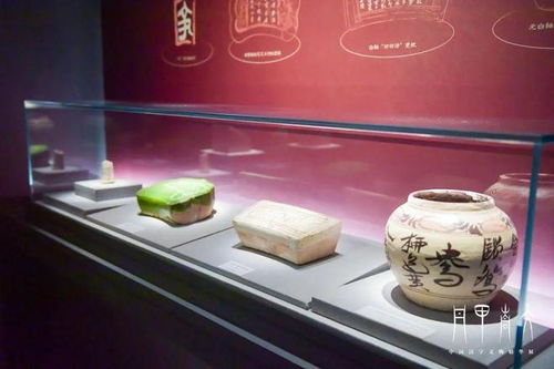 我市精品文物亮相上海奉賢區博物館，共襄“丹甲青文”漢字文物精華展盛舉