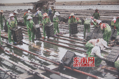 文脈傳承 莆田市第十個中國文化遺產日系列活動今啟動，專家坐鎮文物鑒定